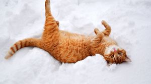 Превью обои кот, рыжий, снег, лежит, игривый