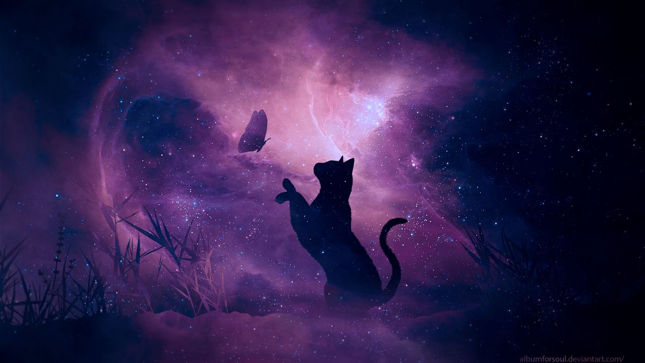 Обои кот, силуэт, бабочка, звездное небо, галактика, звезды, блеск