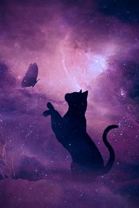 Превью обои кот, силуэт, бабочка, звездное небо, галактика, звезды, блеск