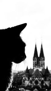 Превью обои кот, силуэт, башни, черно-белый