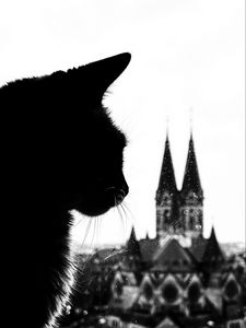 Превью обои кот, силуэт, башни, черно-белый