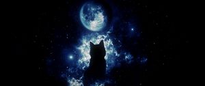 Превью обои кот, силуэт, луна, звездное небо, арт, фантазия
