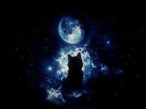 Превью обои кот, силуэт, луна, звездное небо, арт, фантазия