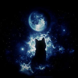 Превью обои кот, силуэт, луна, звездное небо, арт, фантазия