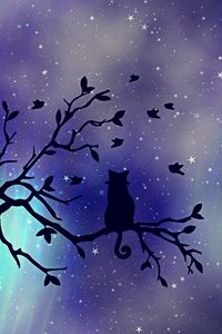 Превью обои кот, силуэт, звездное небо, ветка, арт