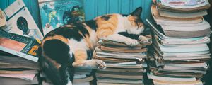 Превью обои кот, сон, журналы, отдых, книги