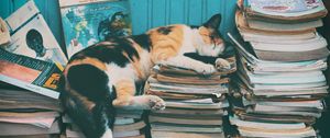 Превью обои кот, сон, журналы, отдых, книги