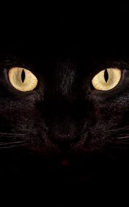 Превью обои кот, темный, глаза, яркий, удивление