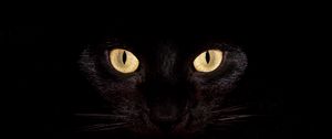 Превью обои кот, темный, глаза, яркий, удивление