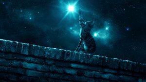 Превью обои кот, звездное небо, ночь, звезды, лапа