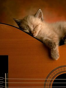 Превью обои котенок, гитара, лежать, сон