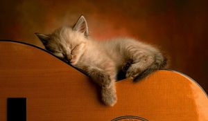 Превью обои котенок, гитара, лежать, сон