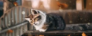 Превью обои котенок, кот, листья, осень, арт