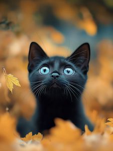 Превью обои котенок, кот, осень, опавшая листва, милый