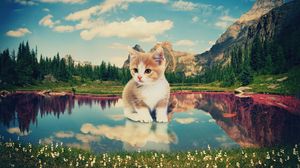 Превью обои котенок, природа, озеро, фотошоп