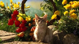 Превью обои котенок, сидеть, трава, тюльпаны, цветы, тень, камни, корзина