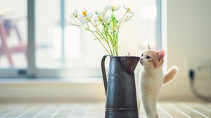 Превью обои котенок, ваза, цветы, паркет