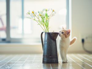 Превью обои котенок, ваза, цветы, паркет