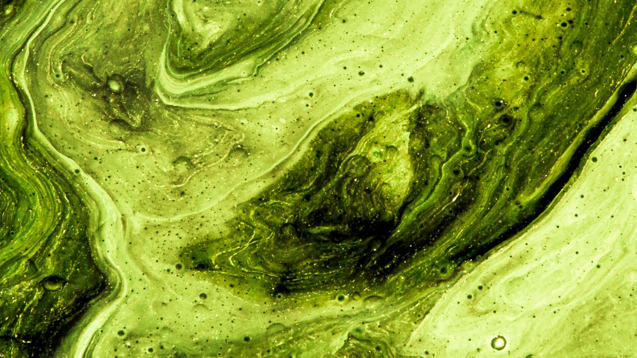 Обои краска, разводы, fluid art, абстракция, арт, зеленый