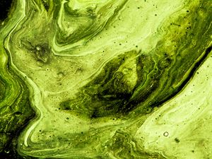 Превью обои краска, разводы, fluid art, абстракция, арт, зеленый
