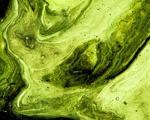 Превью обои краска, разводы, fluid art, абстракция, арт, зеленый