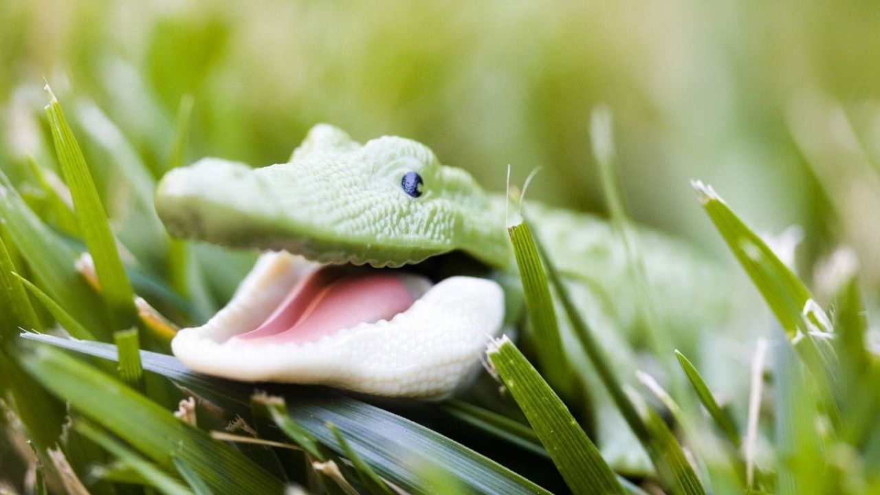 Обои крокодил, игрушка, трава, морда, улыбка