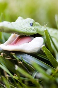 Превью обои крокодил, игрушка, трава, морда, улыбка