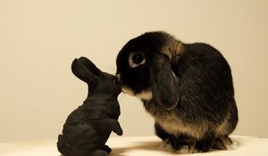 Превью обои кролик, белый, черный, пятнистый, малыш