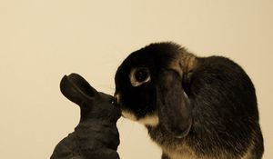 Превью обои кролик, любопытство, игрушка