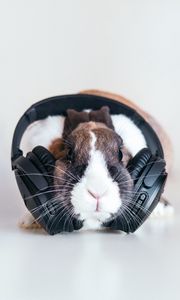 Превью обои кролик, наушники, музыка, аудио