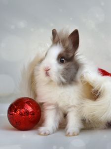 Превью обои кролик, новый год, шар