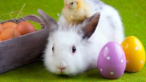 Превью обои кролик, цыплёнок, яйца, пасха, дружба