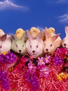 Превью обои кролики, цыплята, цветы, множество