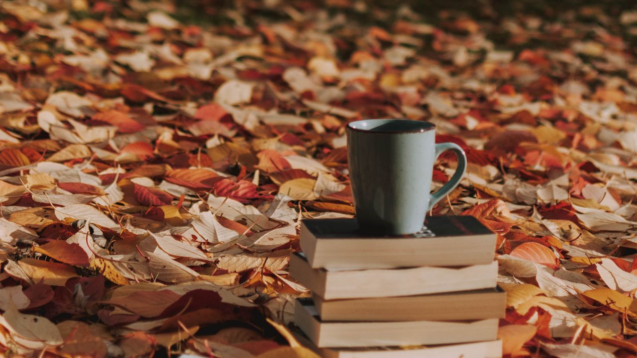 Обои кружка, книги, листва, осень