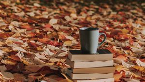 Превью обои кружка, книги, листва, осень