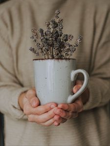 Превью обои кружка, лаванда, цветы, руки