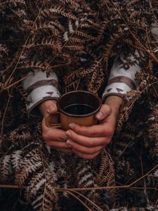 Превью обои кружка, руки, папоротник, снег