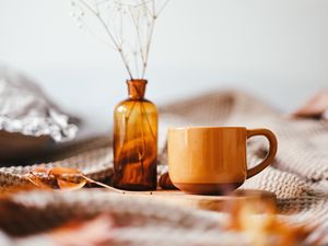 Превью обои кружка, ваза, ветка, букет, коричневый