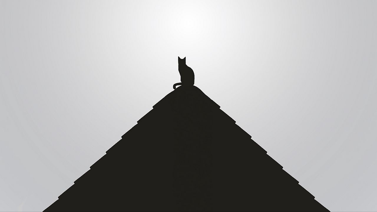 Обои крыша, кошка, черный, чб, минимализм