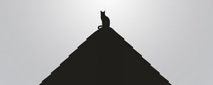 Превью обои крыша, кошка, черный, чб, минимализм
