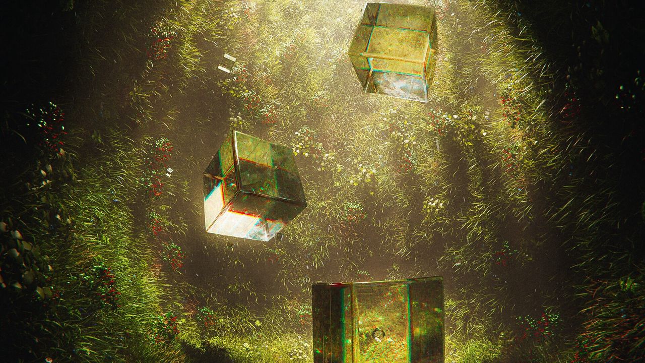 Обои кубы, прозрачный, свет, трава, арт