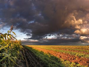 Превью обои кукуруза, поле, небо, панорама, пашня, облака, тучи