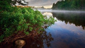 Превью обои кусты, вода, туман, камень, пар, лес, озеро, гладь, безмолвие