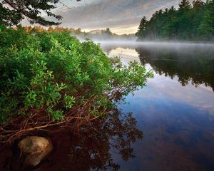 Превью обои кусты, вода, туман, камень, пар, лес, озеро, гладь, безмолвие