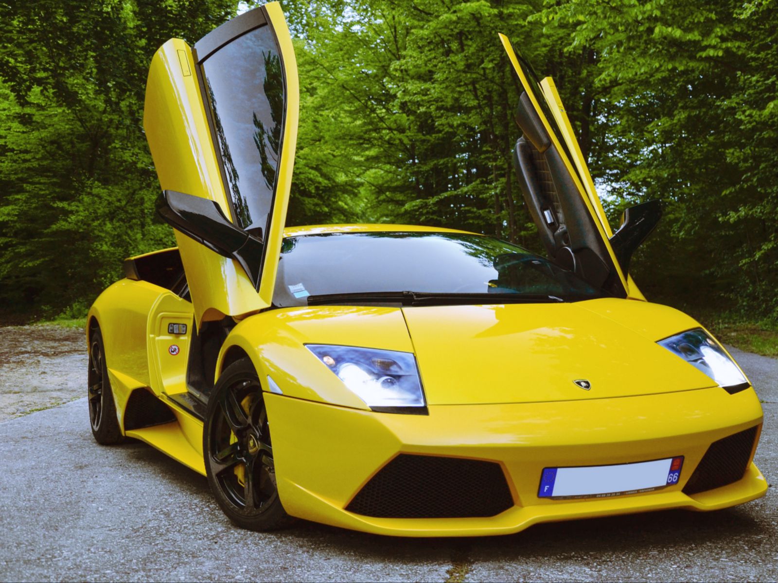 Murcielago lp640