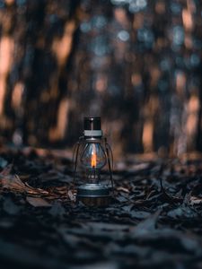 Превью обои лампа, фонарь, огонь, листья, сухой, осень