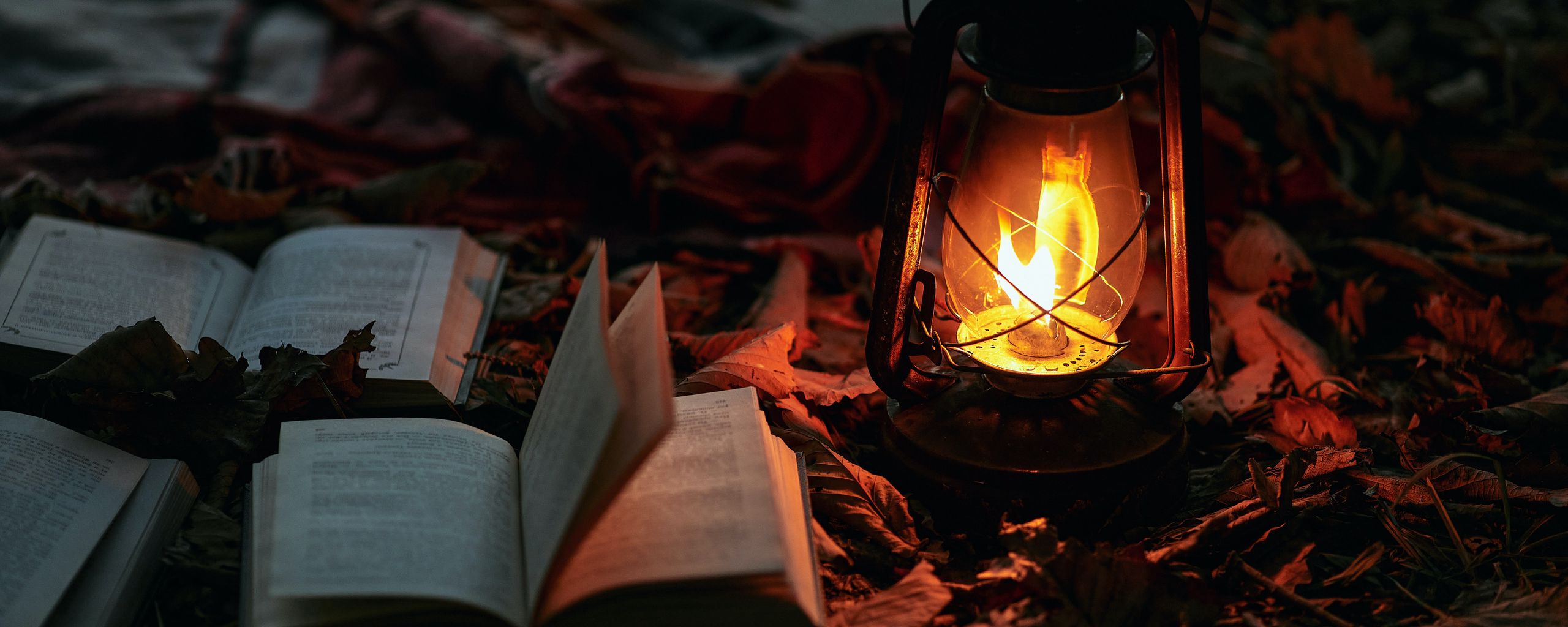 Свет огня книга. Огненная поэзия. Свет огня книга. Королевство серебряного пламени неста. Книга пламя.