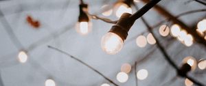 Превью обои лампочки, гирлянды, ветки, свет, декорация
