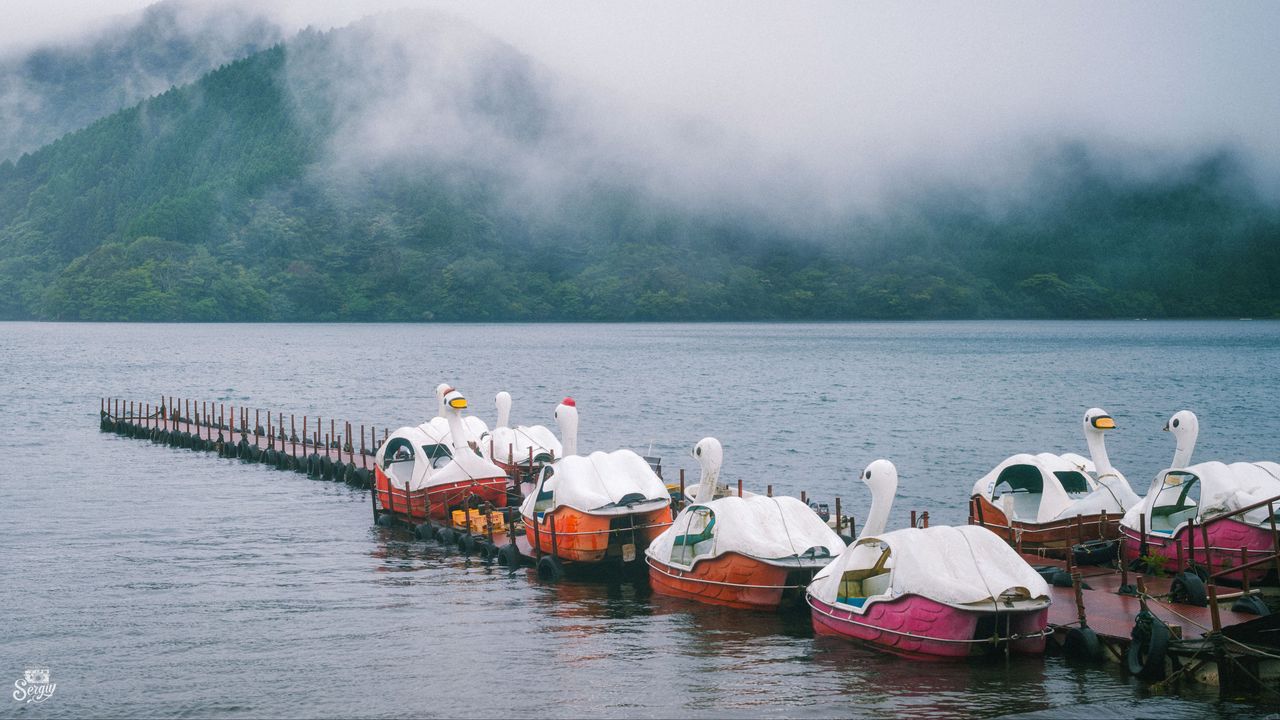 Обои лебеди, лодки, пирс, озеро, горы, туман