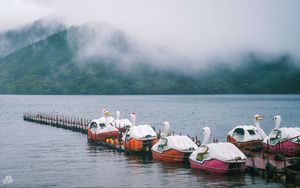 Превью обои лебеди, лодки, пирс, озеро, горы, туман